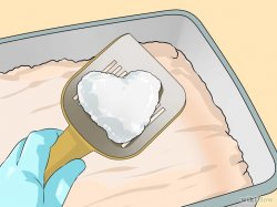 Изображение с названием Clean a Litter Box Step 4